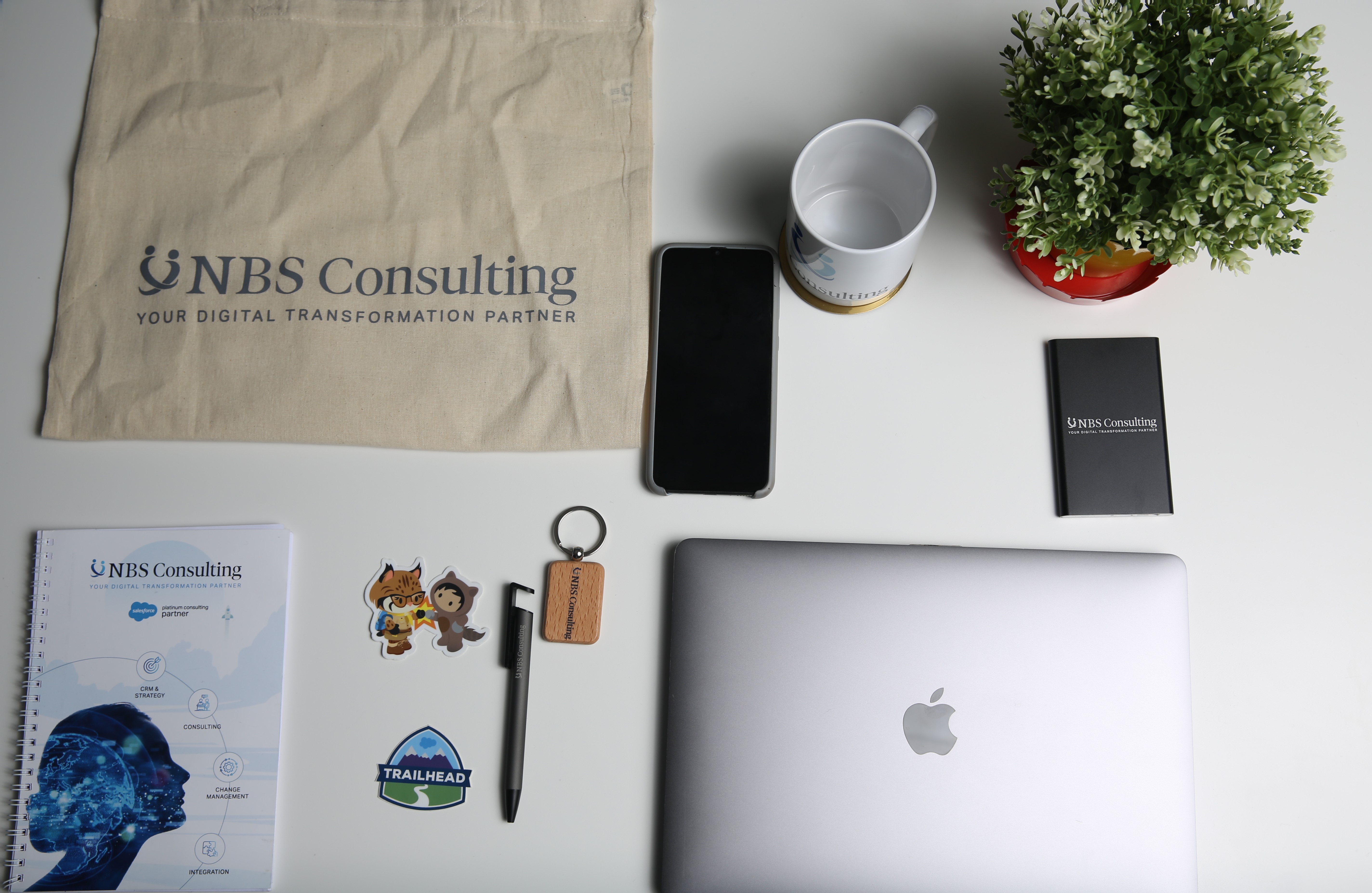 NBS Consulting Carrière